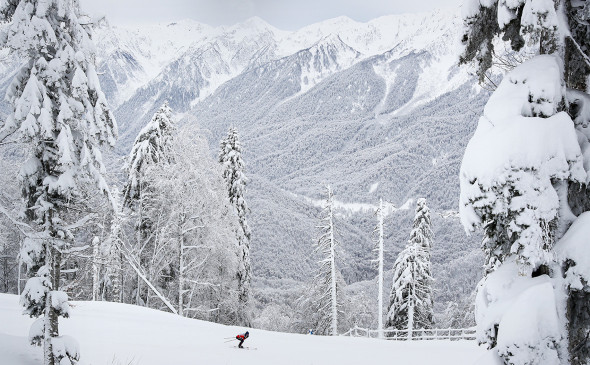 Фото: Дмитрий Феоктистов / ТАСС