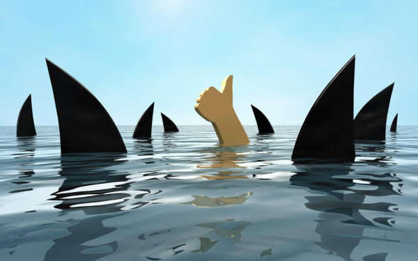 Фото:Shutterstock