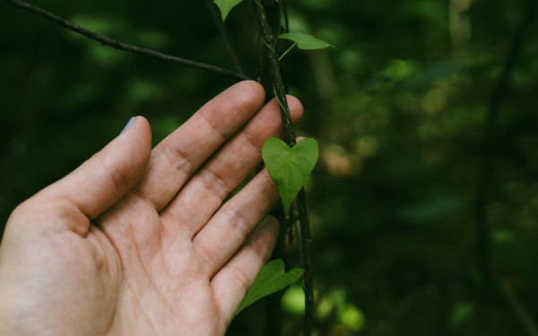 Фото:Shutterstock