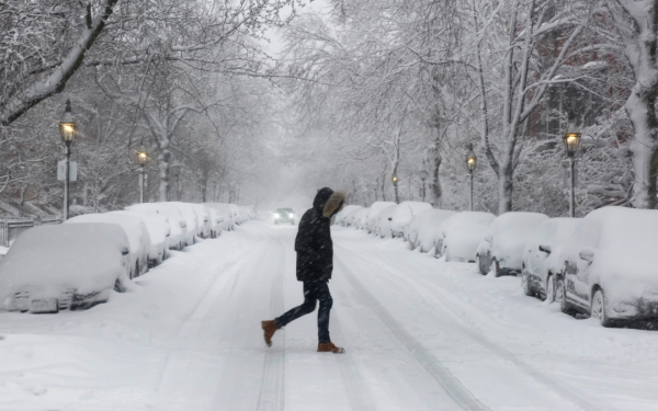 Фото:Shutterstock