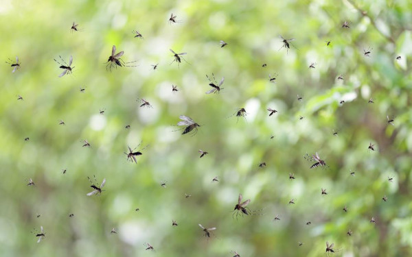 Фото:Shutterstock