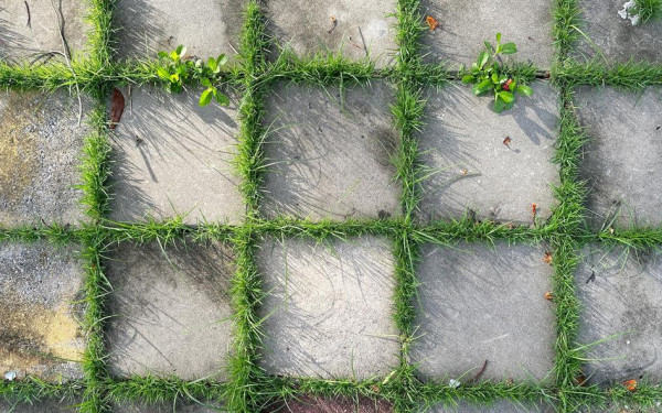 Фото:Shutterstock