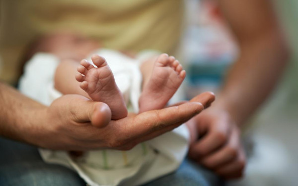 Фото:Shutterstock