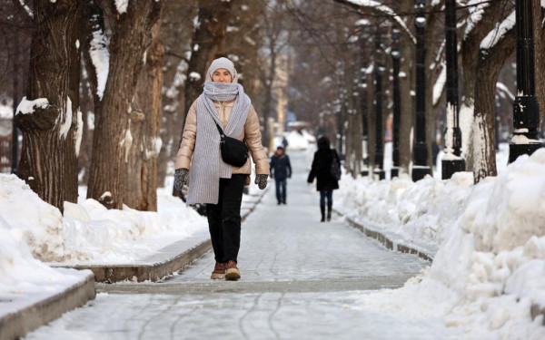 Фото:Shutterstock