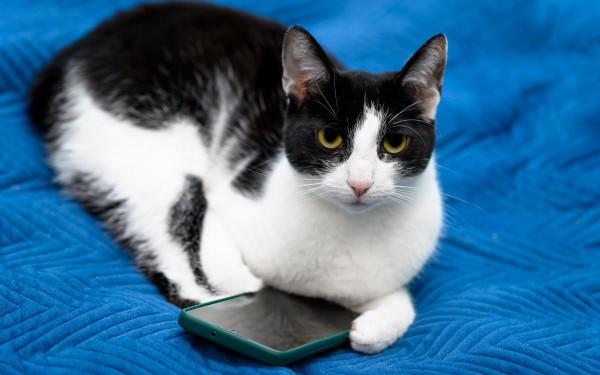 Фото:Shutterstock