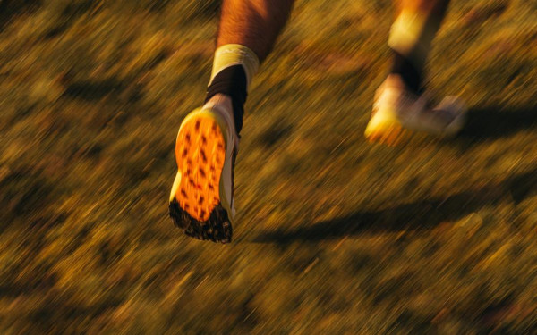 Фото:Shutterstock