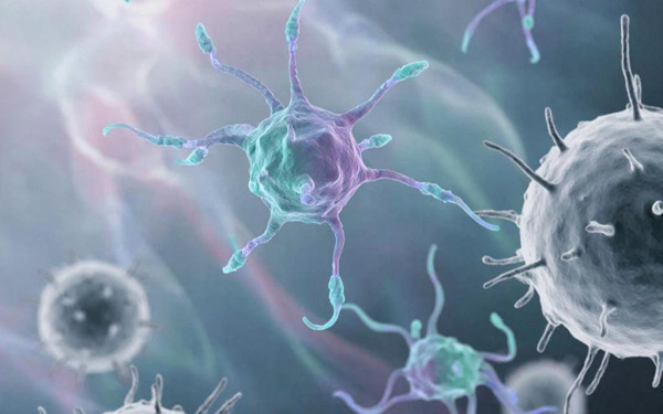 Фото:ГигаЧат