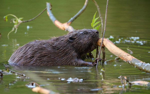 Фото:Shutterstock