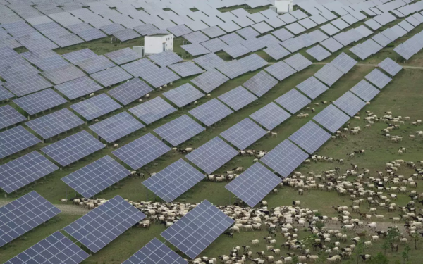 Часть установленных солнечных панелей на Тибетском нагорье