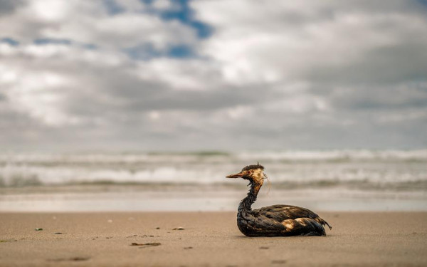 Фото:Shutterstock