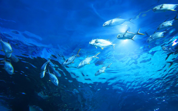 Фото:Shutterstock