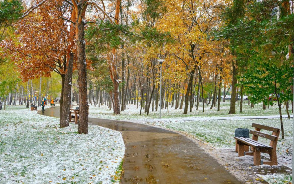 Фото:Shutterstock