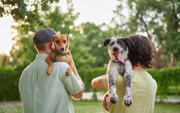 Фото:Shutterstock