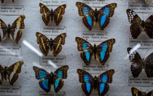 Фото:Shutterstock