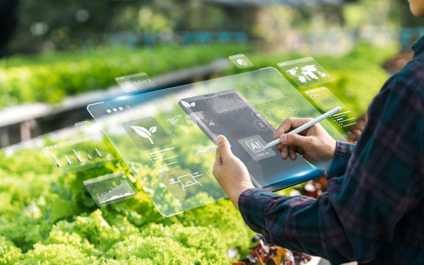 Фото:Shutterstock