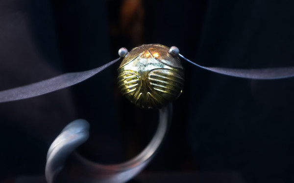 Фото:Shutterstock