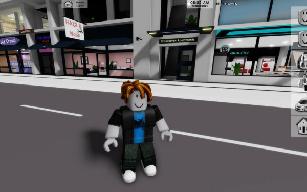 Скриншот из игры&nbsp;Roblox