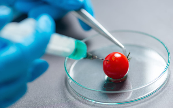 Фото:Shutterstock