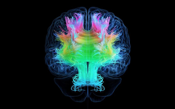 Фото:Shutterstock