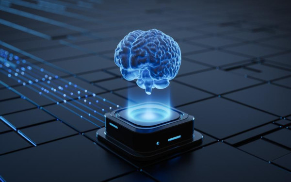 Фото:Shutterstock