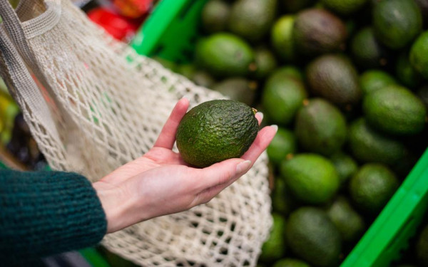 Фото:Shutterstock