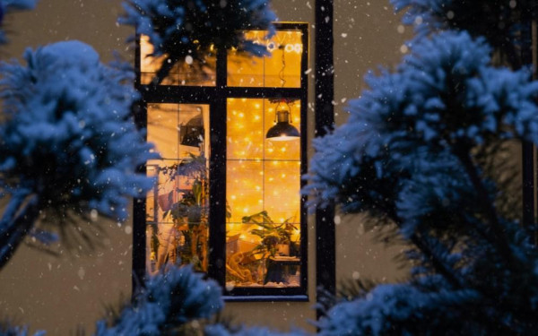 Фото:Shutterstock