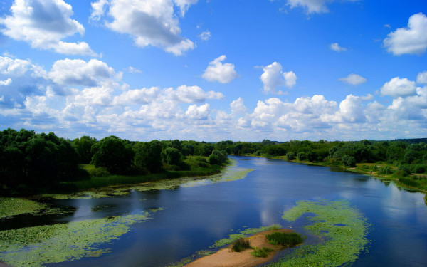 Река Воронеж