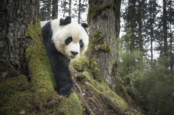 Фото
