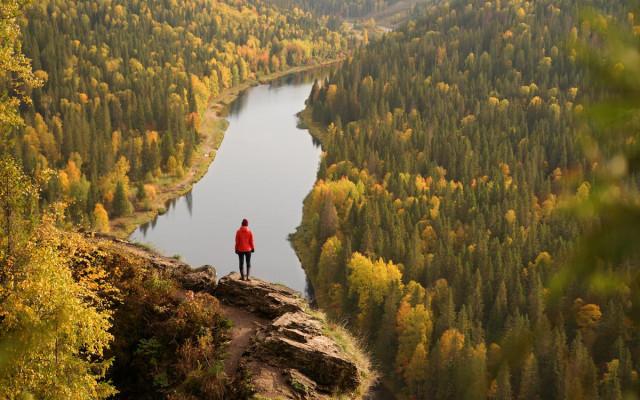Фото: Shutterstock
