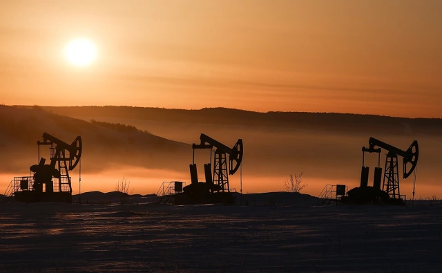 Фото: Егор Алеев / ТАСС