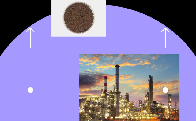 Фото: Shutterstock