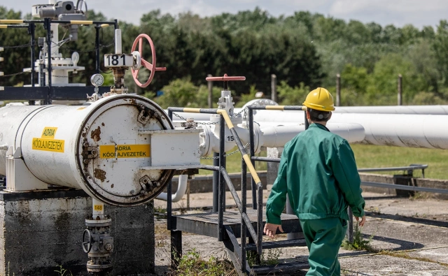 Фото: Janos Kummer / Getty Images