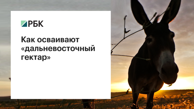 Обложка видео