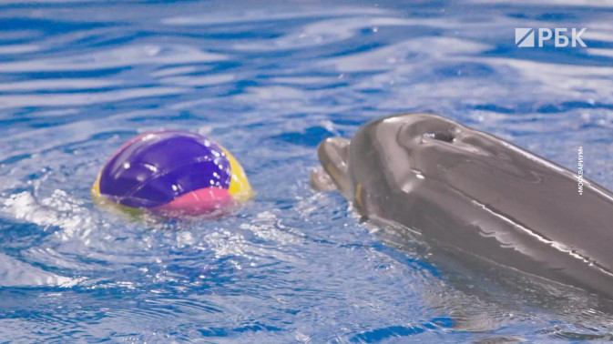 Обложка видео