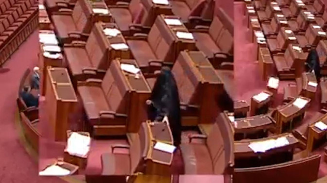 Обложка видео