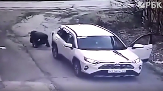 Обложка видео