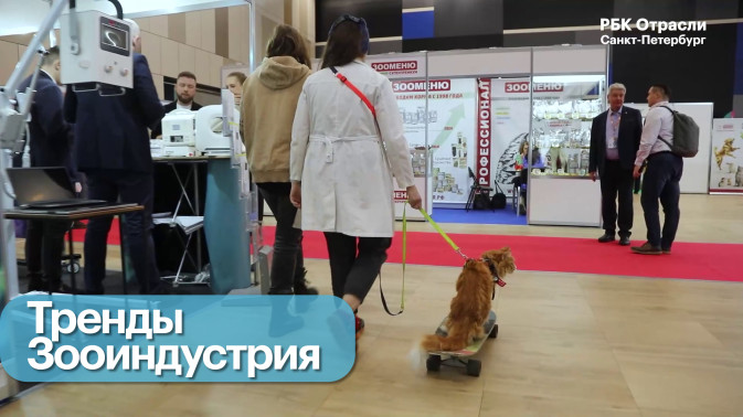 Обложка видео