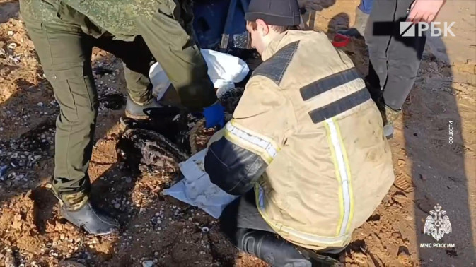 Обложка видео