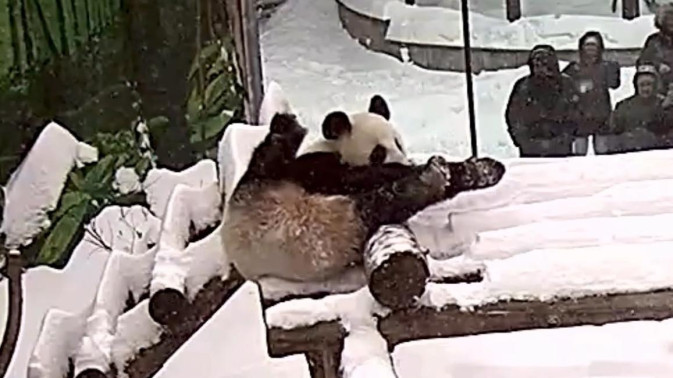 Обложка видео