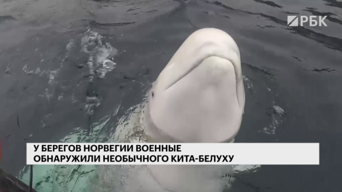 Обложка видео