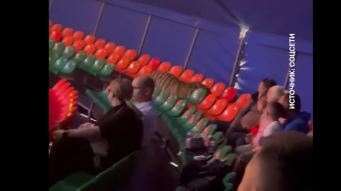 Обложка видео