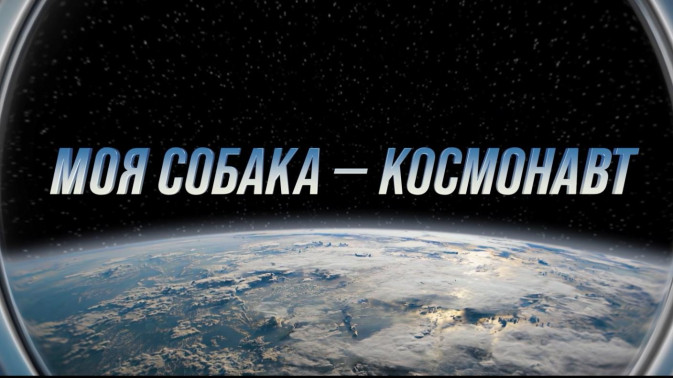 Обложка видео