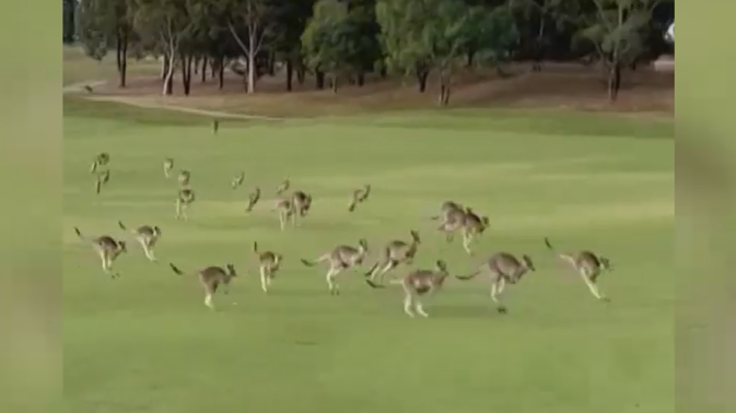 Обложка видео