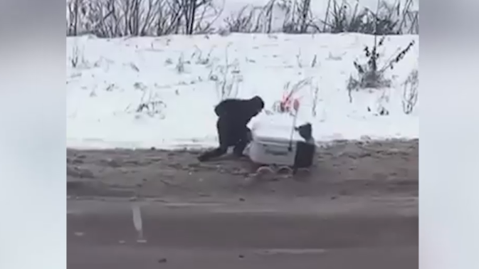 Обложка видео