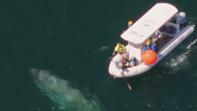 Обложка видео