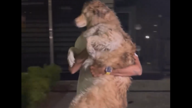 Обложка видео