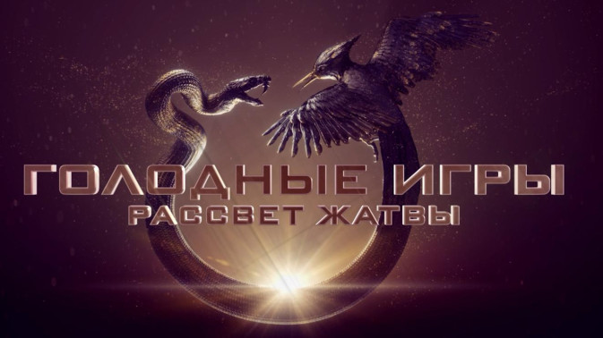 Обложка видео