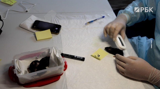 Обложка видео