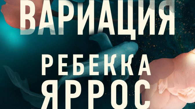 Обложка видео