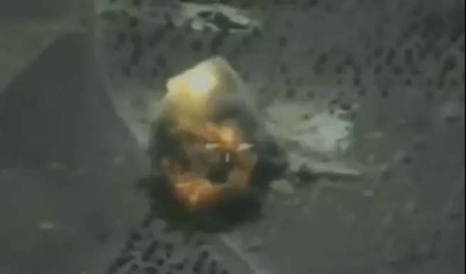 Обложка видео